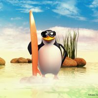 Penguin Penguin